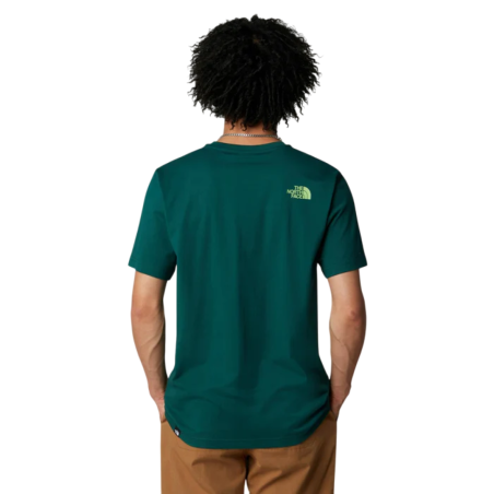 Camiseta The North Face Easy Verde