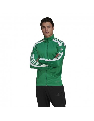 Chaqueta Adidas Squadra Verde