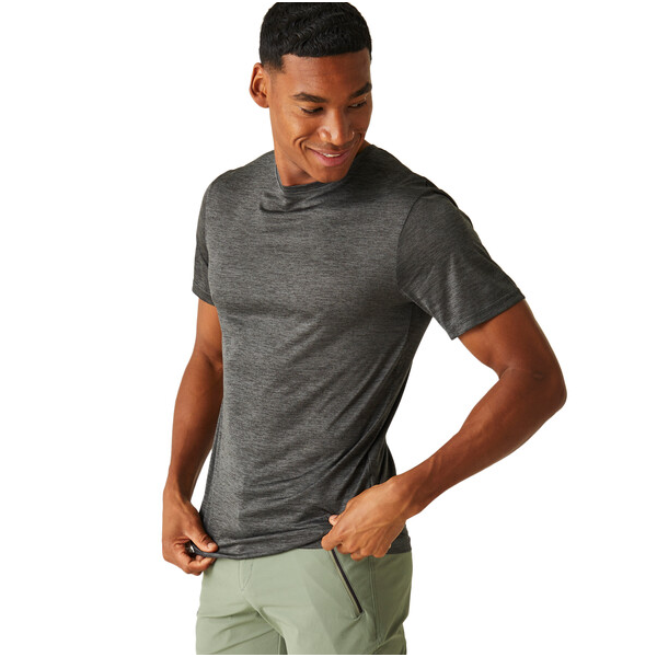 Camiseta Regatta Fingal Edition Gris